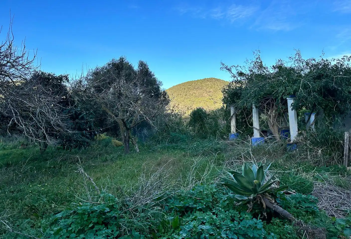 Finca rústica en venda a Sant Josep de sa Talaia, Illes Balears