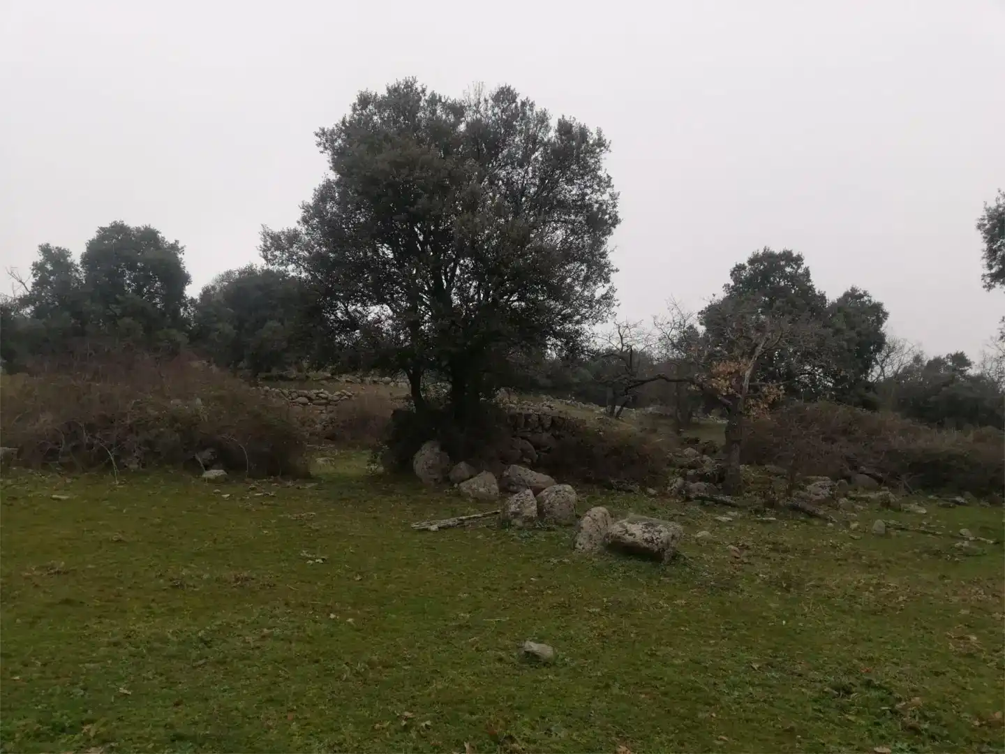Terreno en venta en Bustarviejo