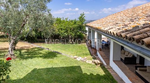 Oasis de Tranquilidad en La Puebla de los Infantes