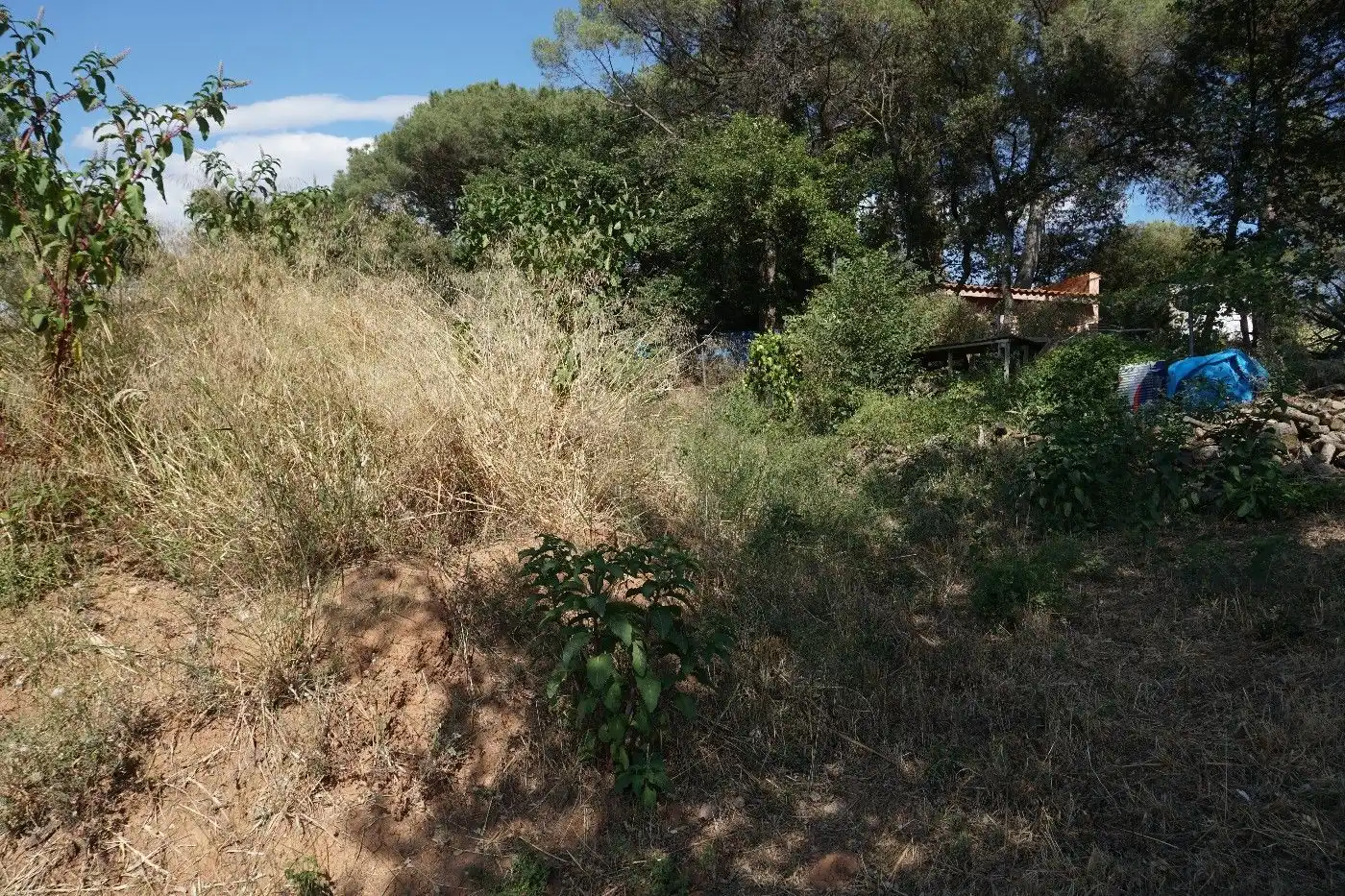 Residential land for sale in Sant Pere de Vilamajor, imagen 11