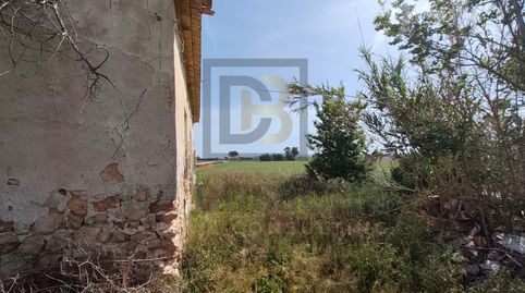 Foto 3 de Finca rústica en venta en Dolores, Alicante