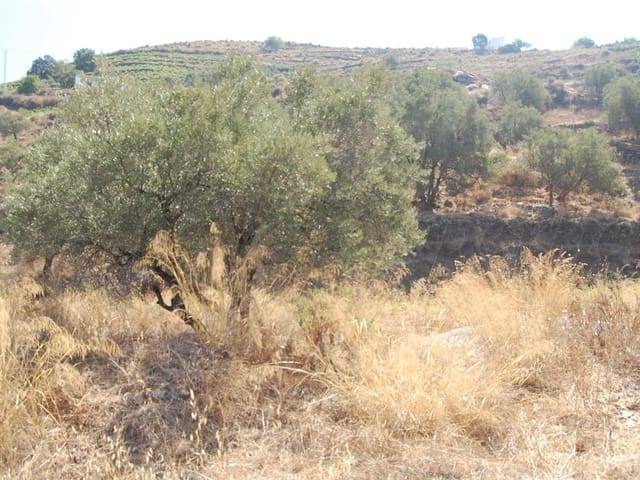 Terreno residencial en Venta en Cómpeta