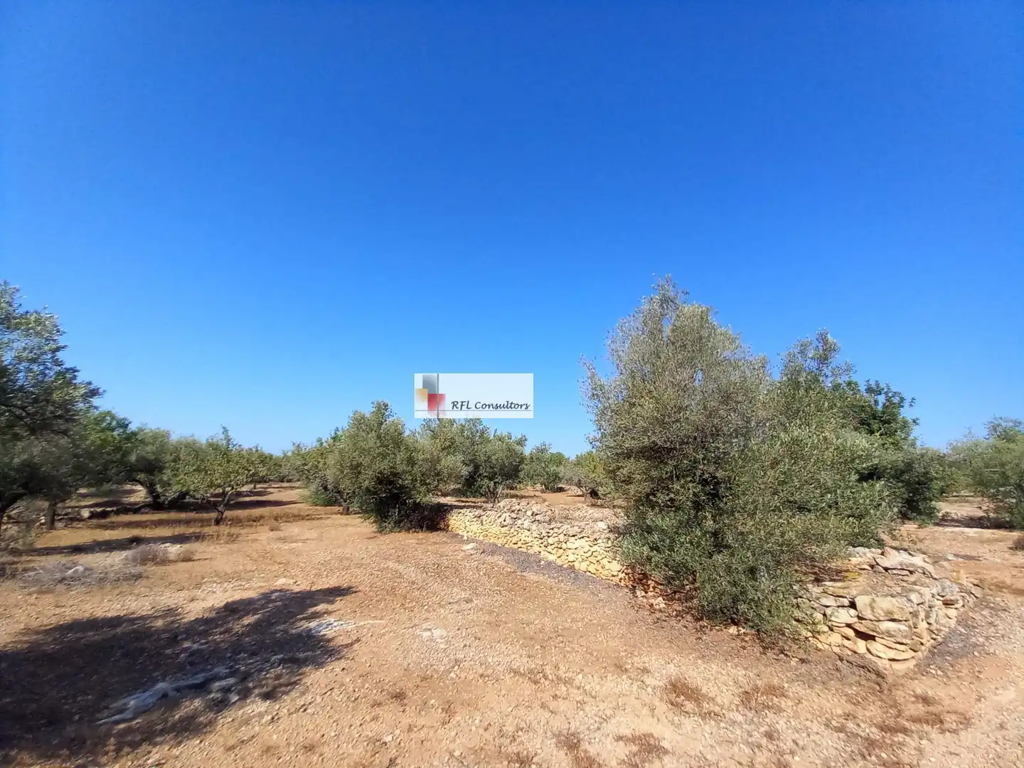 Terreno rústico en venta en L'Ampolla, imagen 21