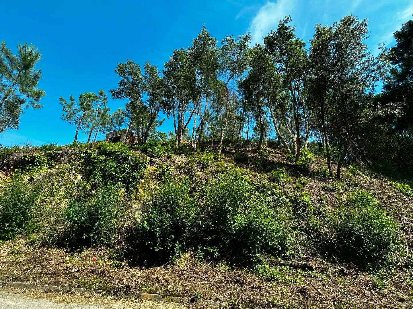 Terreno residencial en venta en Lloret Blau - La Creu de Lloret, imagen 5