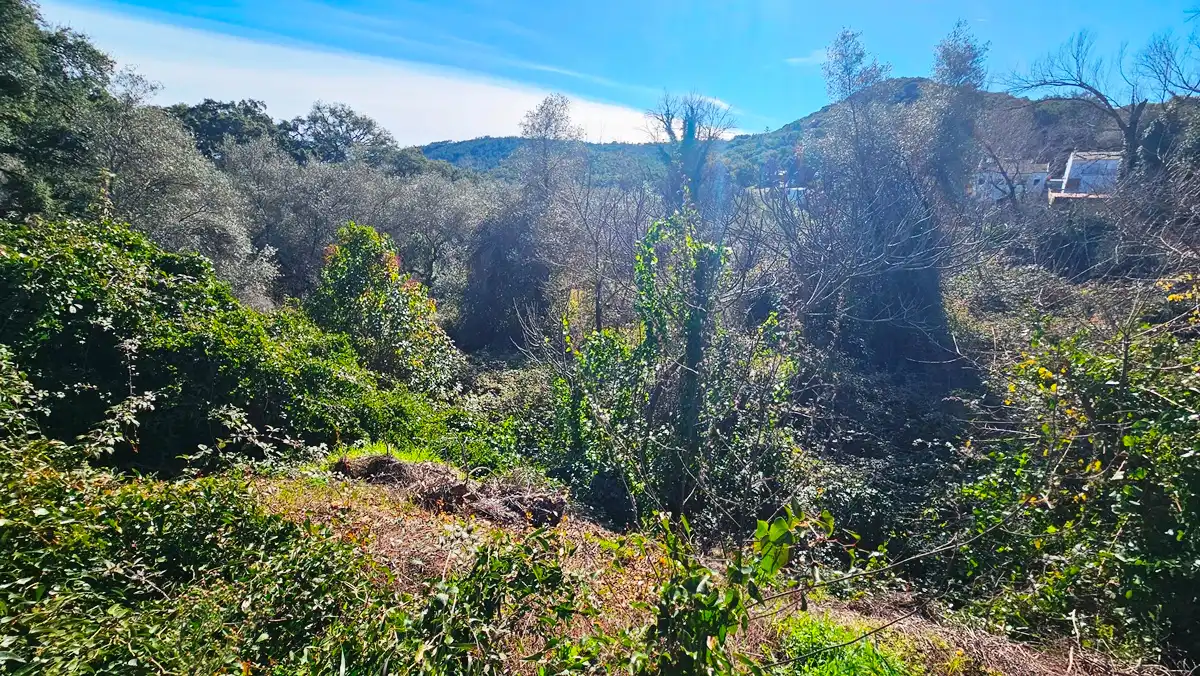 Residencial en venta en Santa Ana la Real