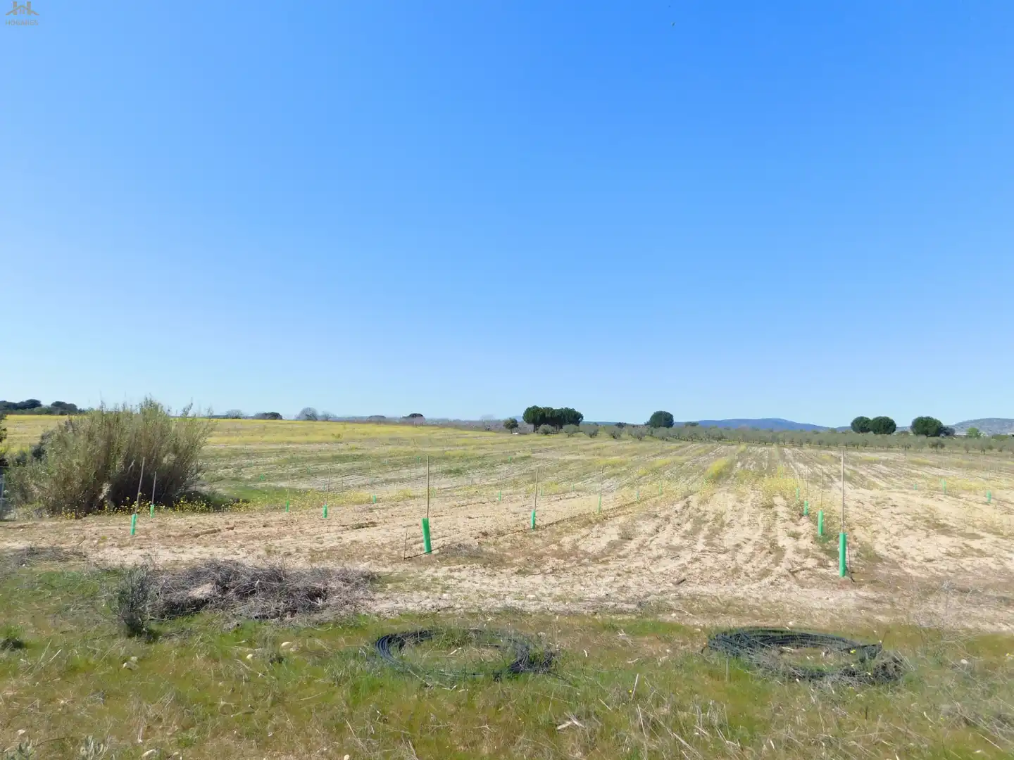 Terreno en venta en Villa del Prado