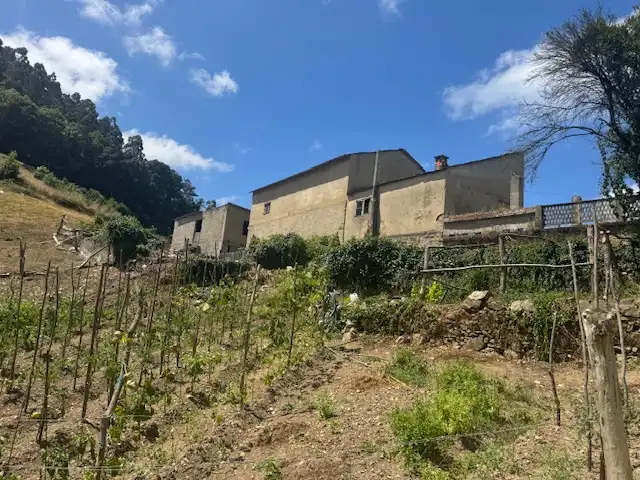 Casa rustica in vendita a N-640, imagen 15