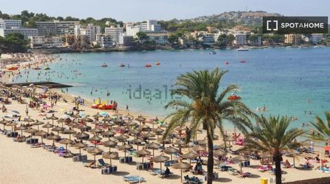 Photo 3 of Apartment to share in Costa de la Calma, Illes Balears