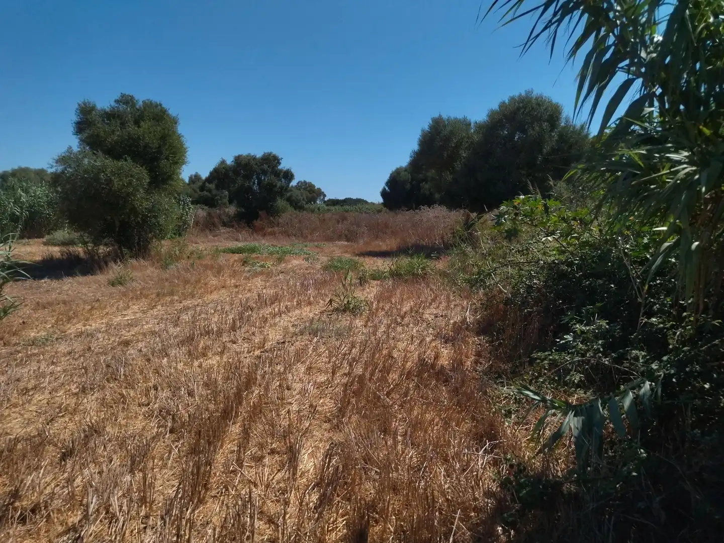 Terreno en venta en Vejer de la Frontera