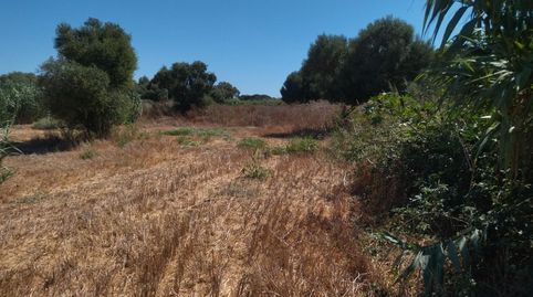Foto 4 de Terreno en venta en N/a, -1, Vejer, Vejer de la Frontera