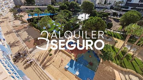 Foto 3 de Piso de alquiler en Benidorm, Playa de San Juan, Alicante / Alacant