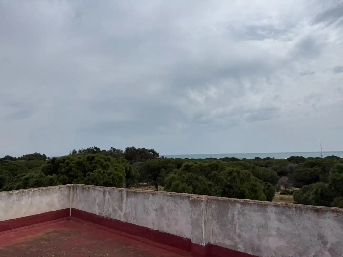 Terrace of Flat for sale in Guardamar del Segura  with Terrace