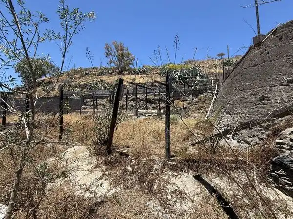 Rural land for sale in Calle Araucaria 13, imagen 9
