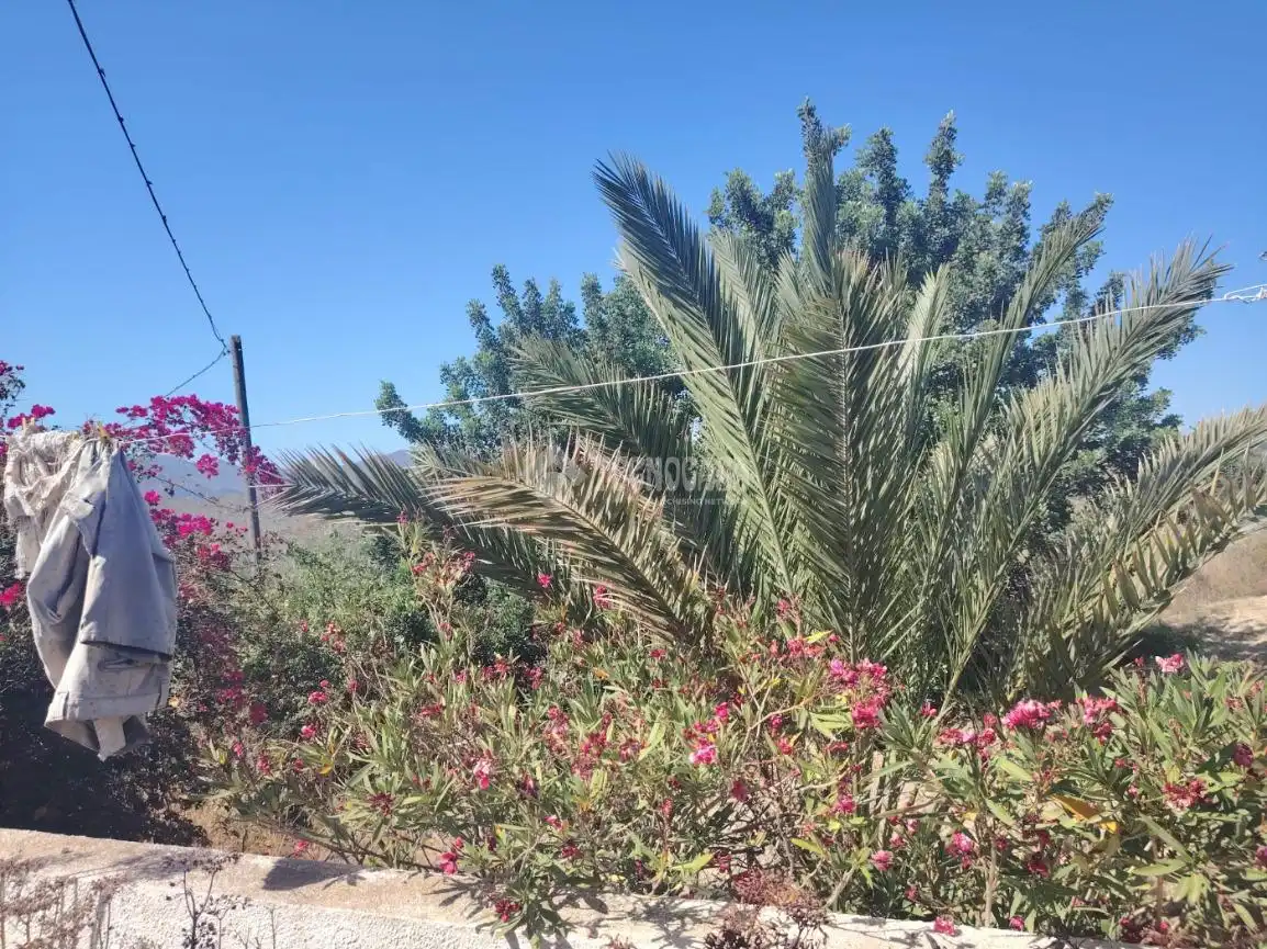 Casa rústica en venda a Los Gallardos, imagen 11