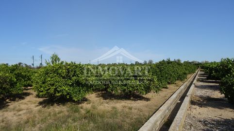 Immagine 2 dell'annuncio