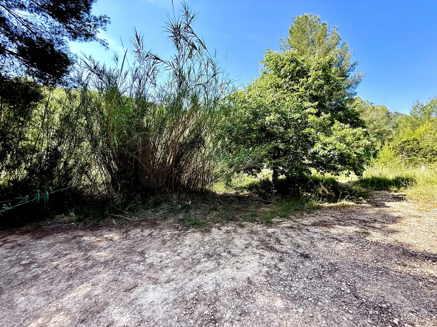 Terreno en venta en Llíber
