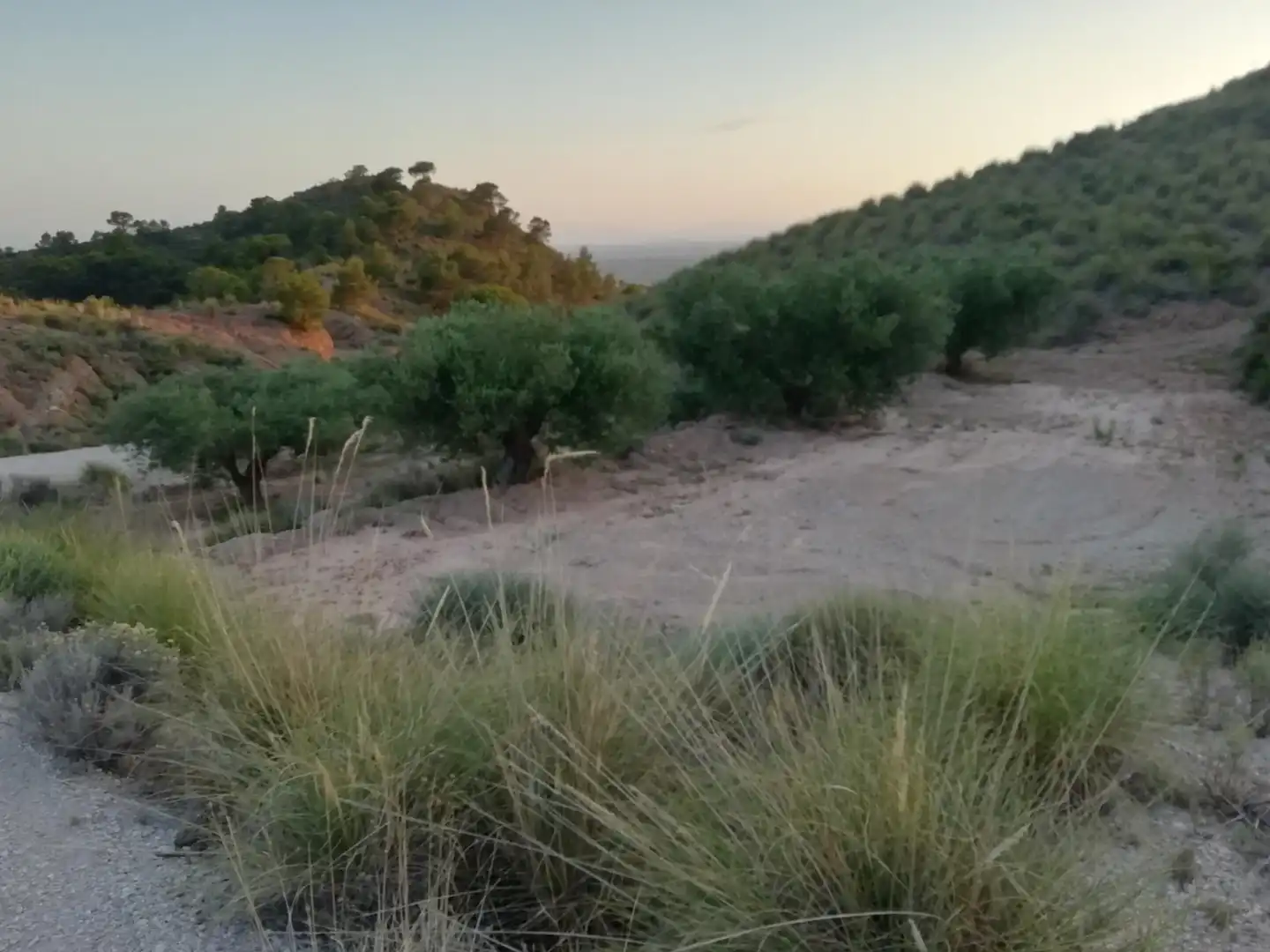 Finca rústica en venta en Abanilla