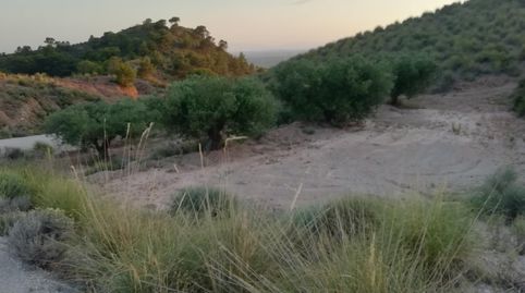 Foto 3 de Finca rústica en venta en Abanilla, Murcia