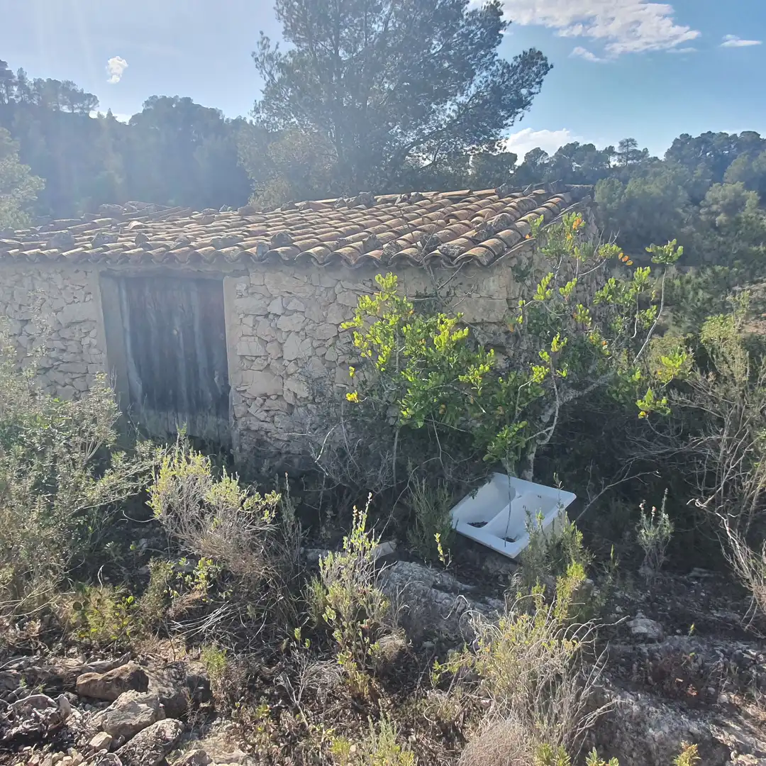 Terrain rustique à vendre à Benifallet, imagen 24