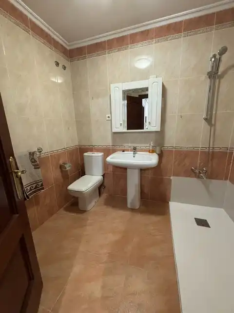 Bathroom of Apartments for rent in Centro