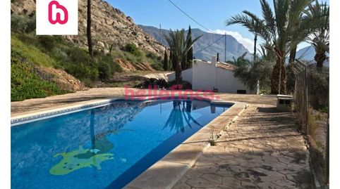 Foto 4 de Finca rústica en venda a Calle Carrer Ctra. R Bon, Orihuela ciudad, Orihuela