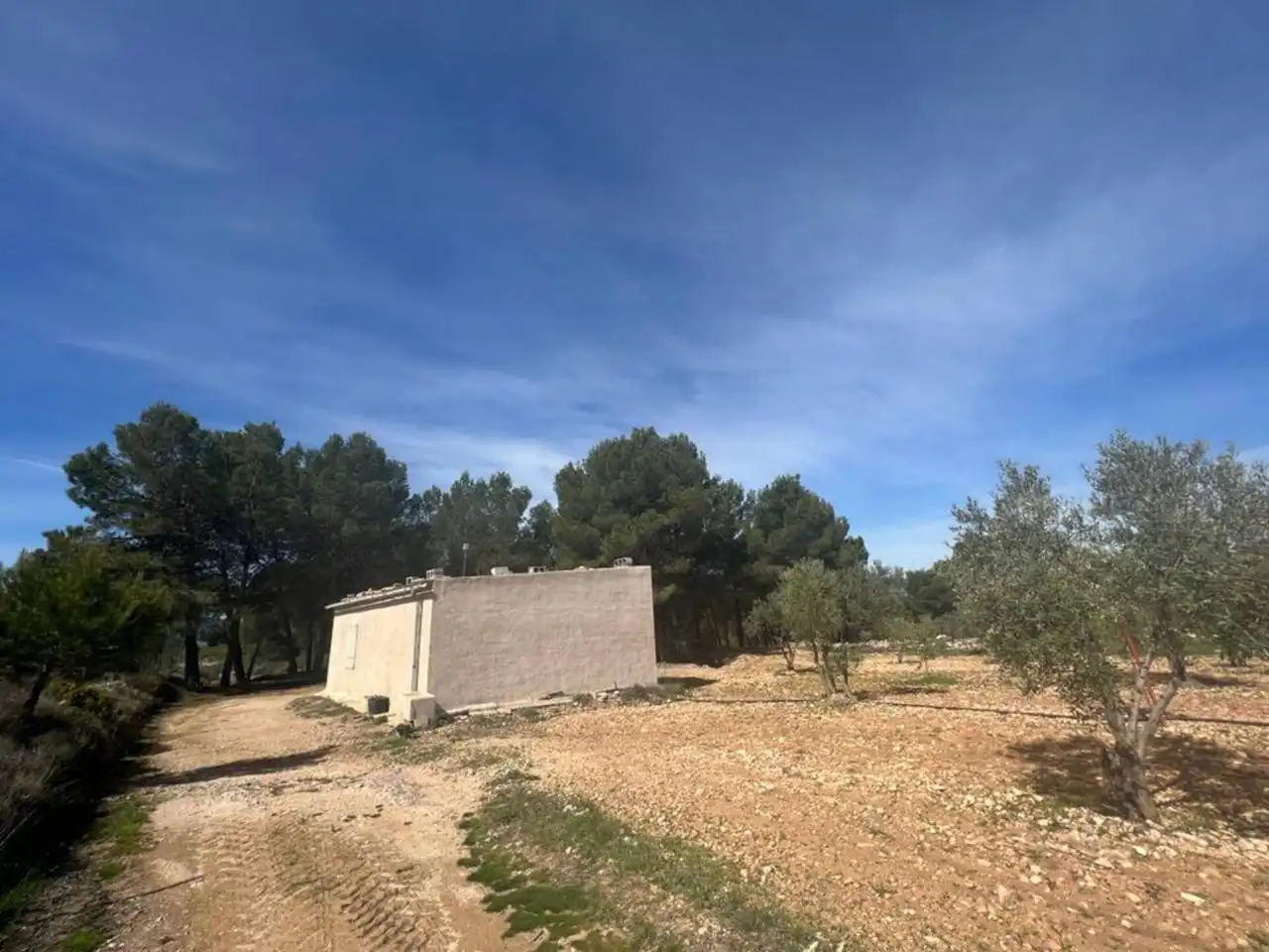 Chalet con jardín en venta en Calle Poligono, imagen 101