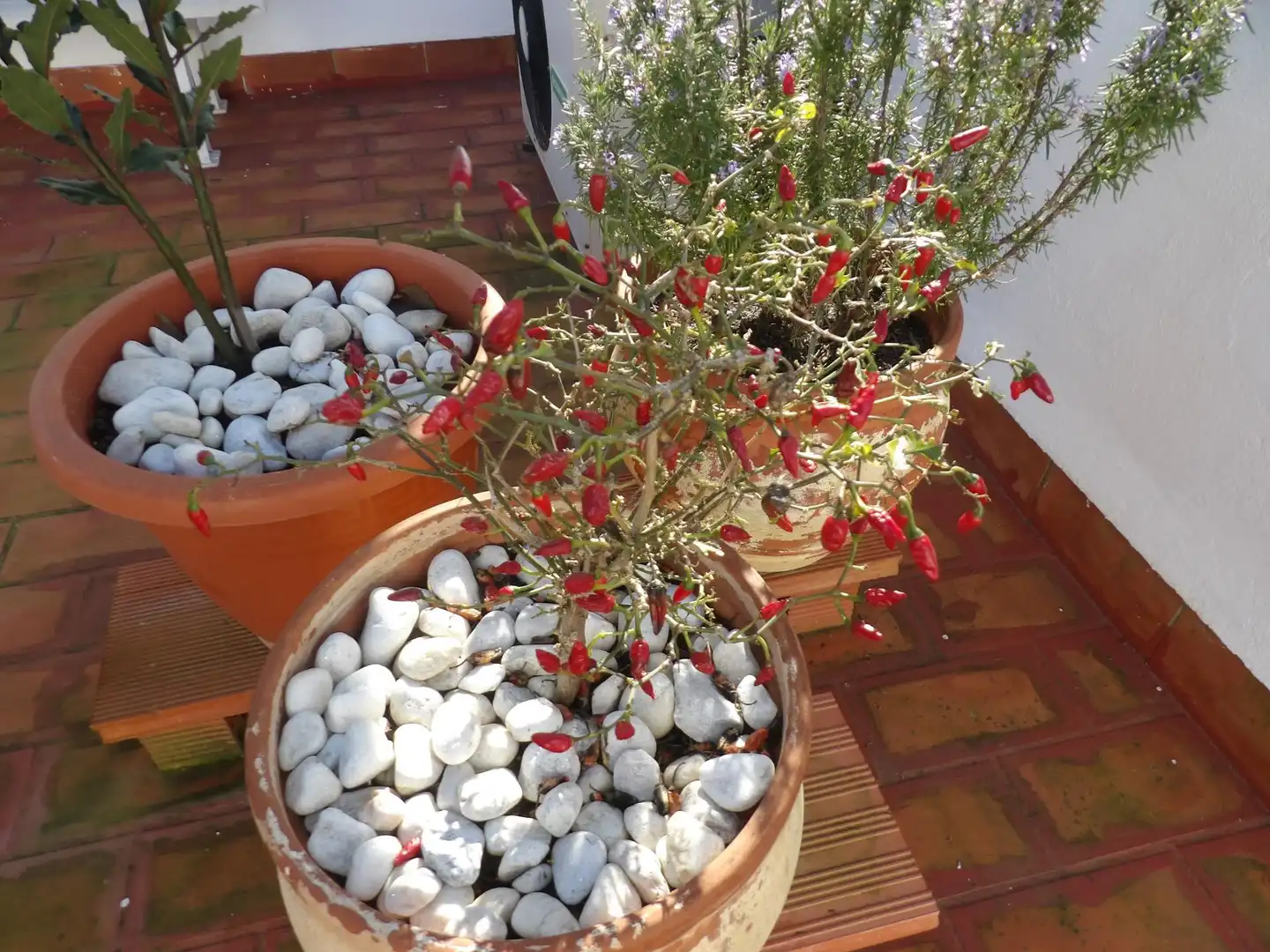Detached homes for sale in Pescadores - Saladillo