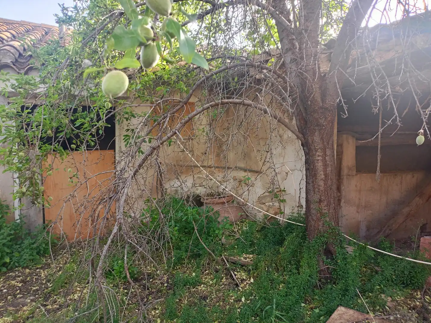 Casa rústica en venta en Pedanías Norte, imagen 24