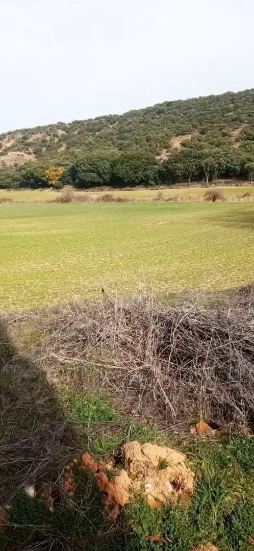 Finca rústica en venda en Serón de Nágima