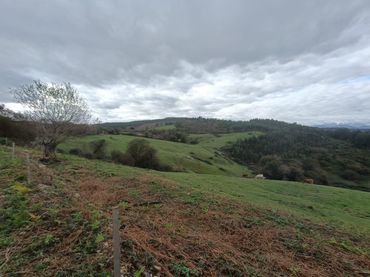 Terreno rustico in vendita a Ruiloba