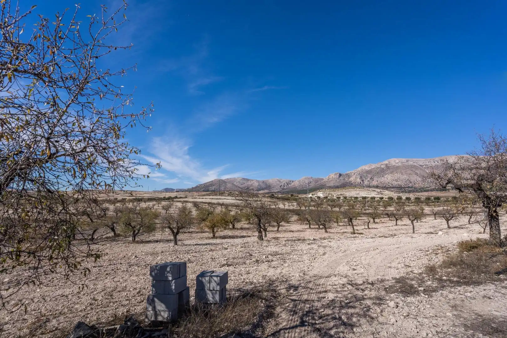 Finca rústica en venta en Vélez-Rubio con Calefacción, Jardín privado y Trastero