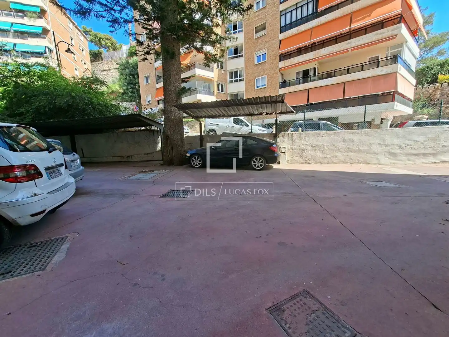 Appartamento con giardino in affitto a Este, imagen 36