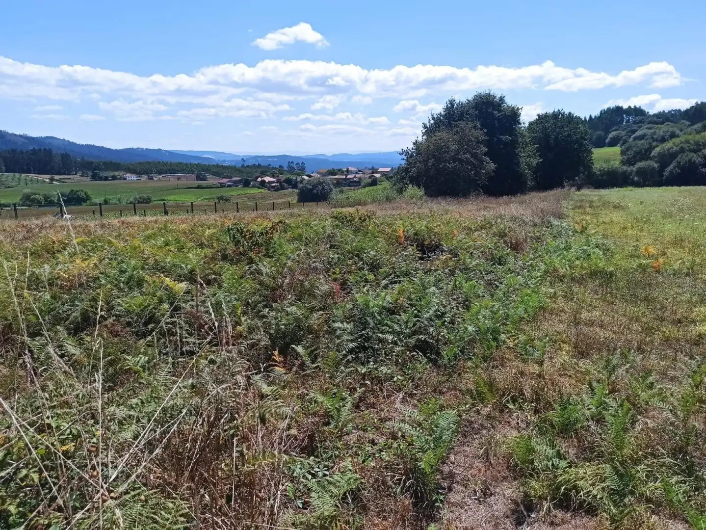 Rustikales Grundstück zum Verkauf in Área de Ames, imagen 10