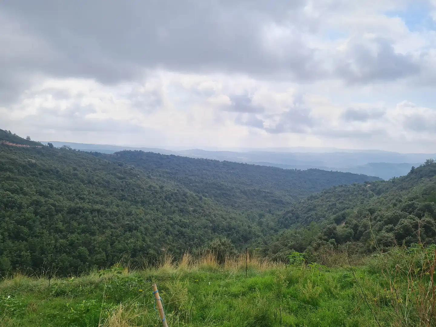 Country homes for sale in Olvan