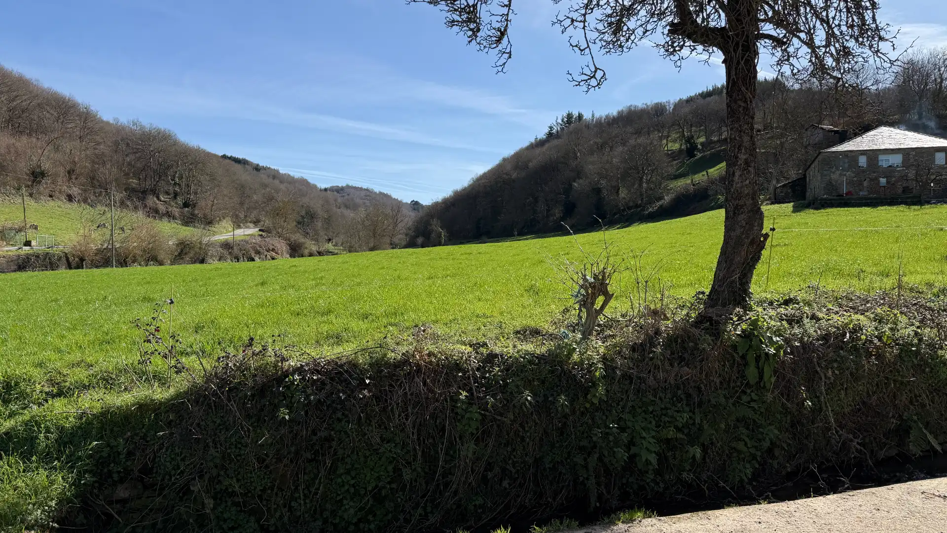 Casa o chalet en venta en Becerreá con Amueblado