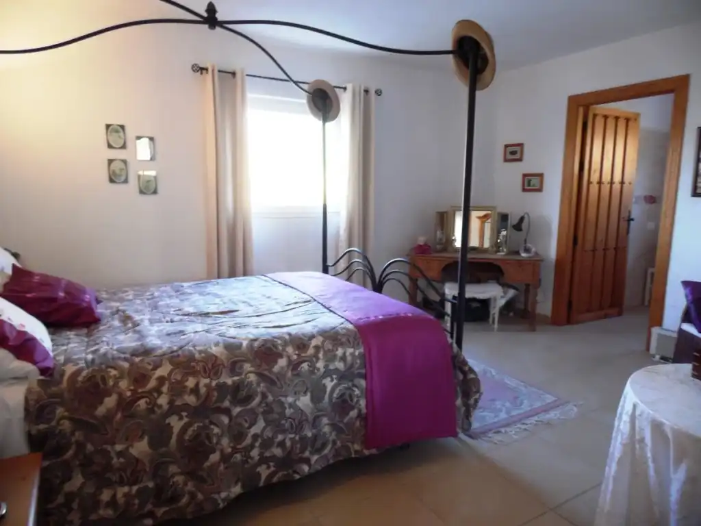 Casa rústica amb jardí en venda a Canillas de Aceituno, imagen 12