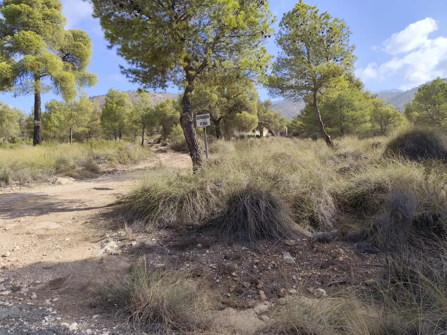 Terreno en venta en Totana