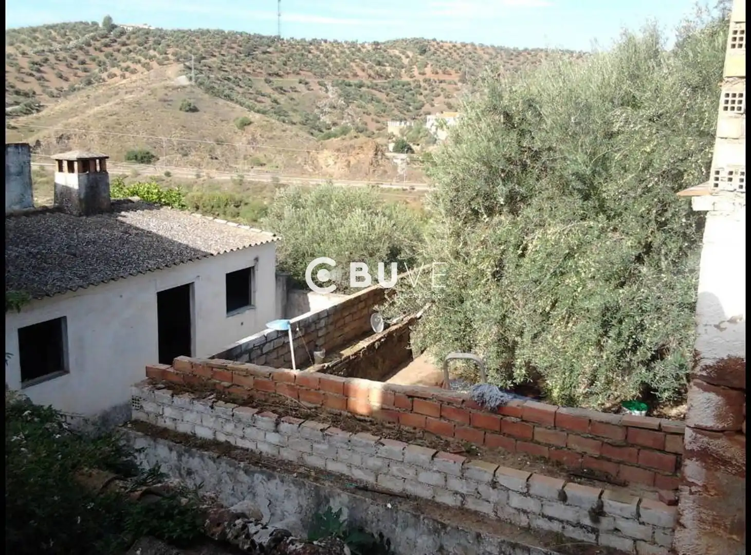 Jardín de Casa o chalet en venta en Población de Arroyo