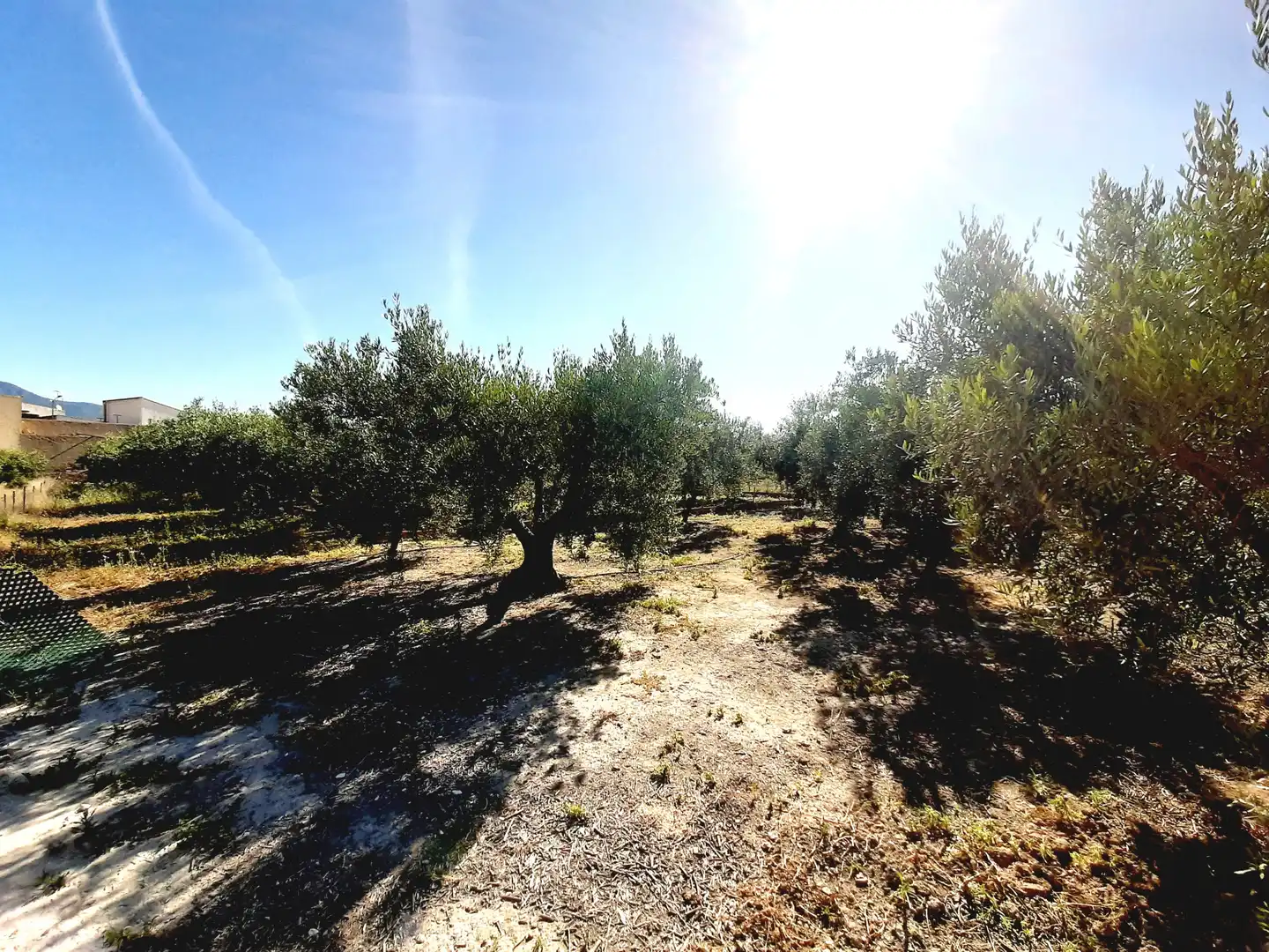 Lands and plots for sale in Mula, imagen 9