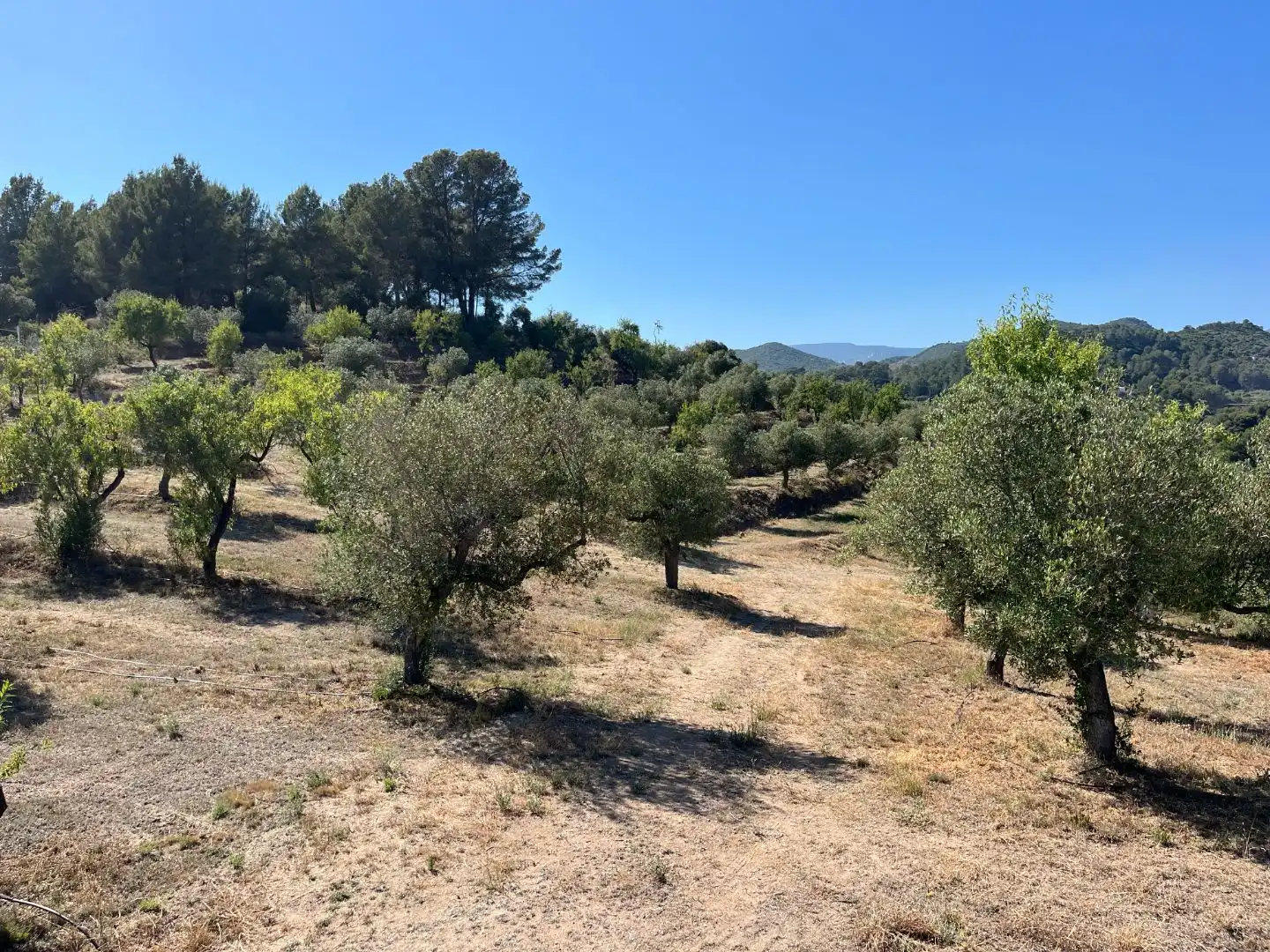 Terreno en venta en Les Borges del Camp
