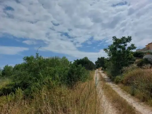 Land for sale in Orba