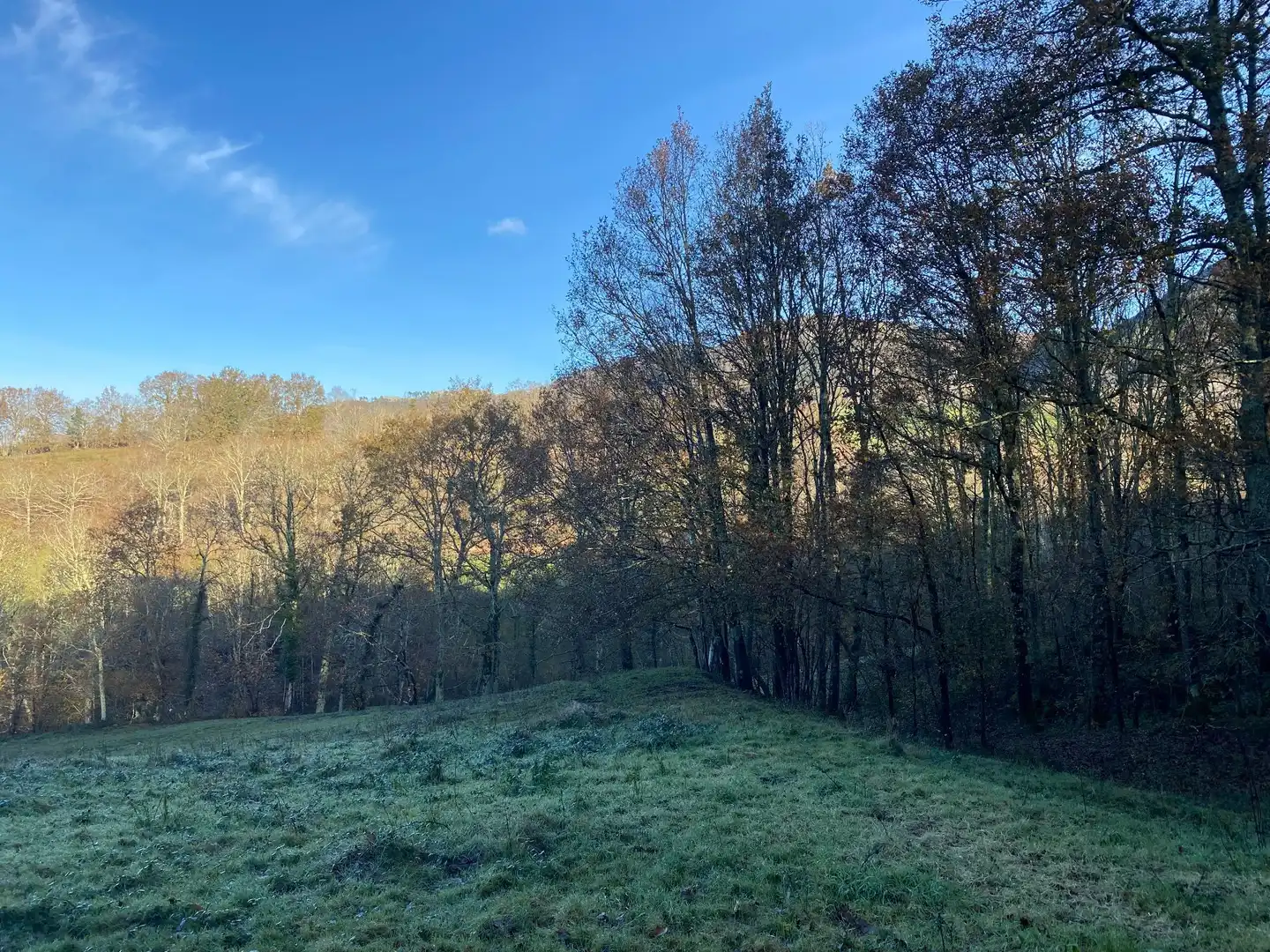 Terreno rustico in vendita a Cangas de Onís, imagen 13