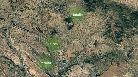 Photo 5 of Land for sale in Plaza de la Verdura, Falces, Navarra