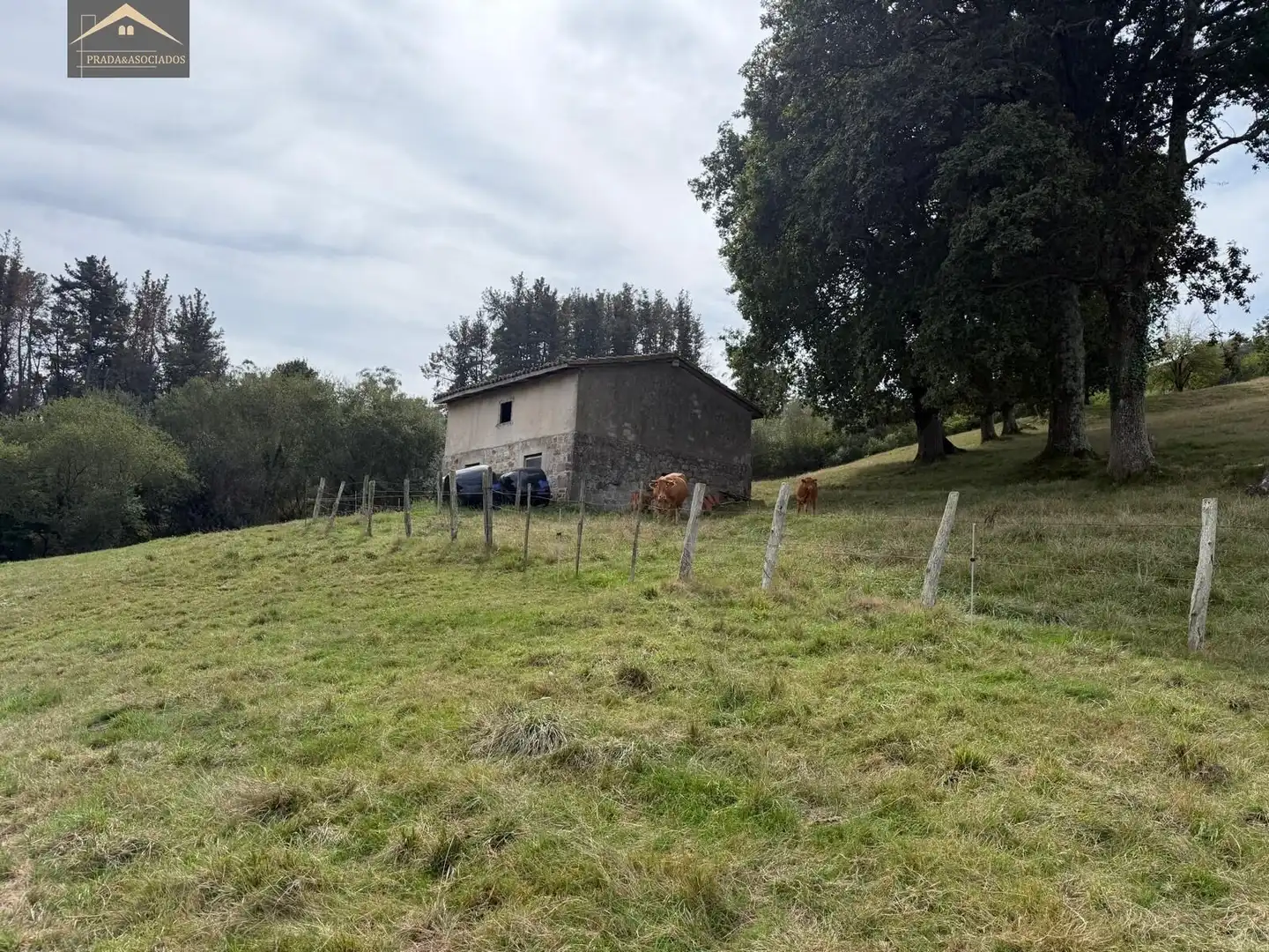 Nave industrial en venta en Ruente