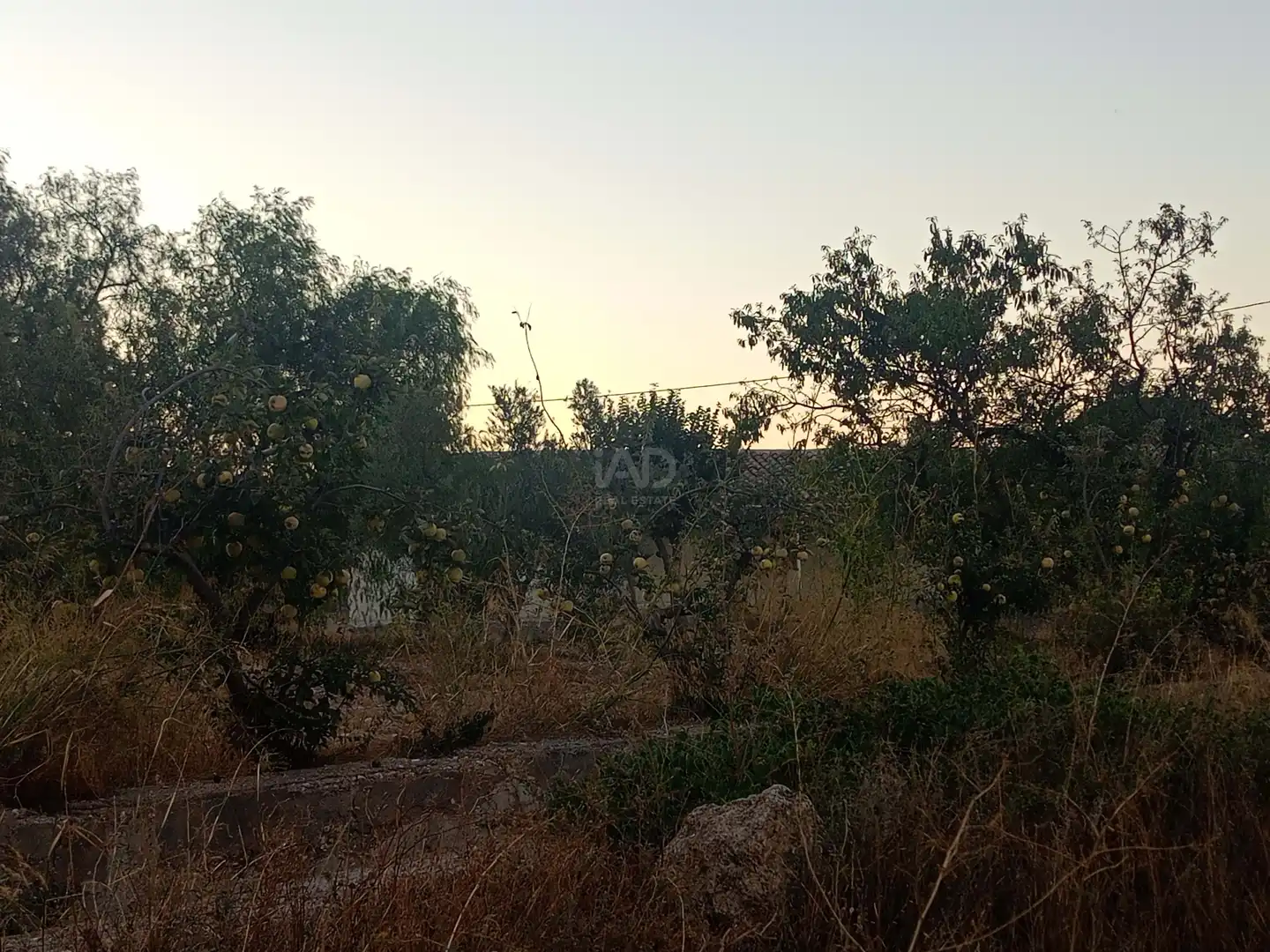 Country homes for sale in Lorca