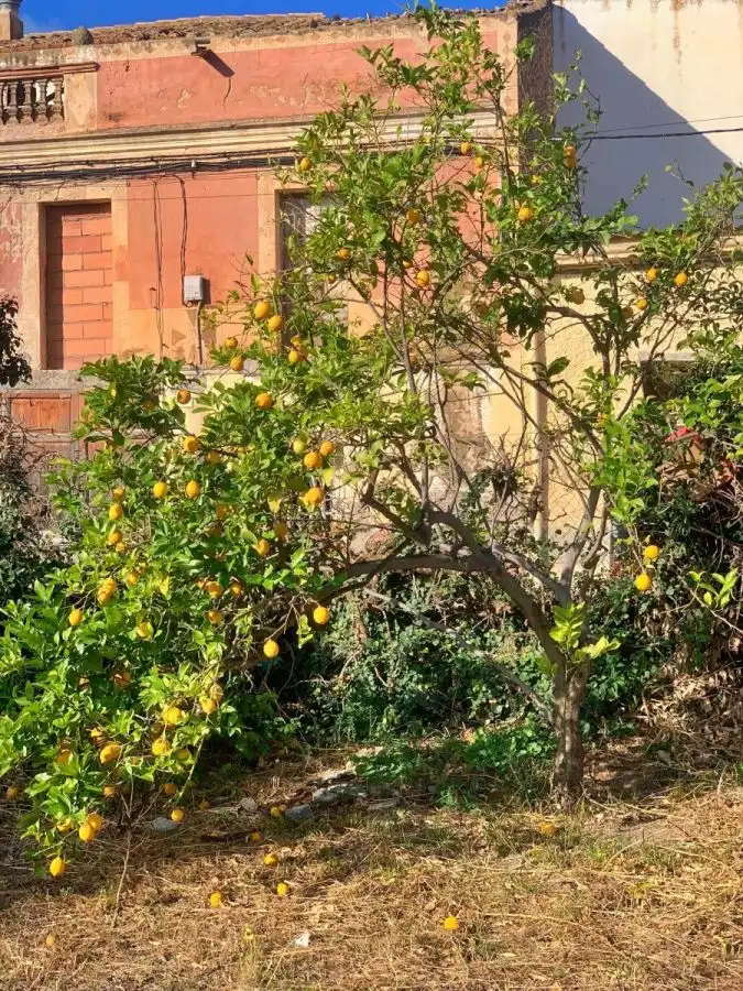 Garten von Country house zum Verkauf in Tortosa