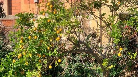 Foto 3 de Finca rústica en venda a Jesús - Els Reguers, Tortosa