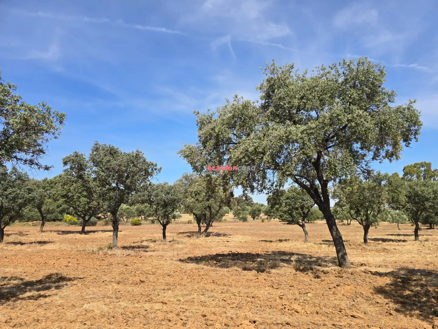 Casa o xalet en venda en Villanueva del Duque amb Jardí privat, Traster i Piscina