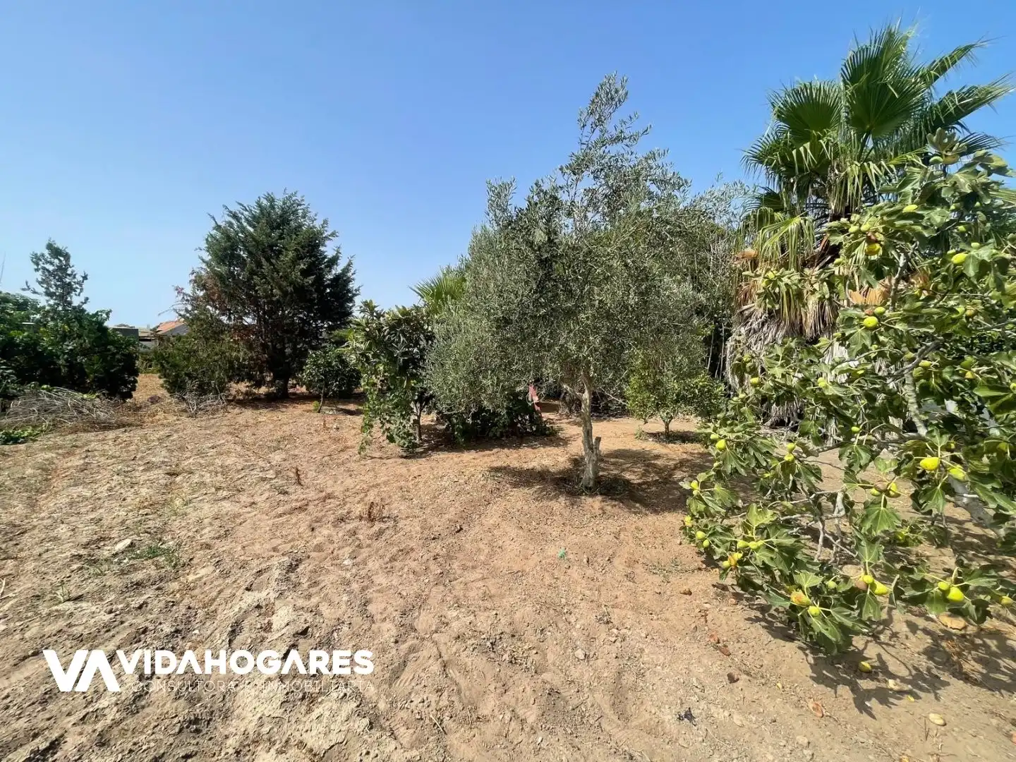 Finca rústica en venta en Roquetas de Mar