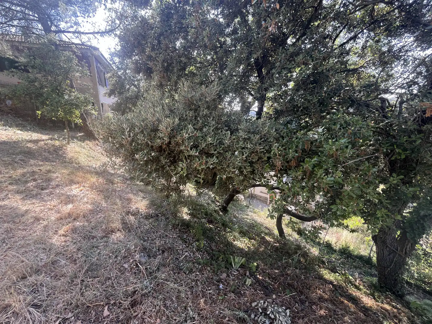 Residential for sale in Talamanca